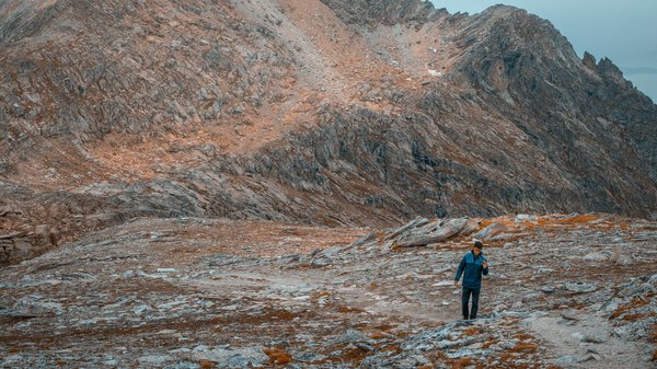 Explore the Hidden Treasures of Dartmoor's Bronze Age: Your Ultimate Guide to an Enriching Guided Tour Experience